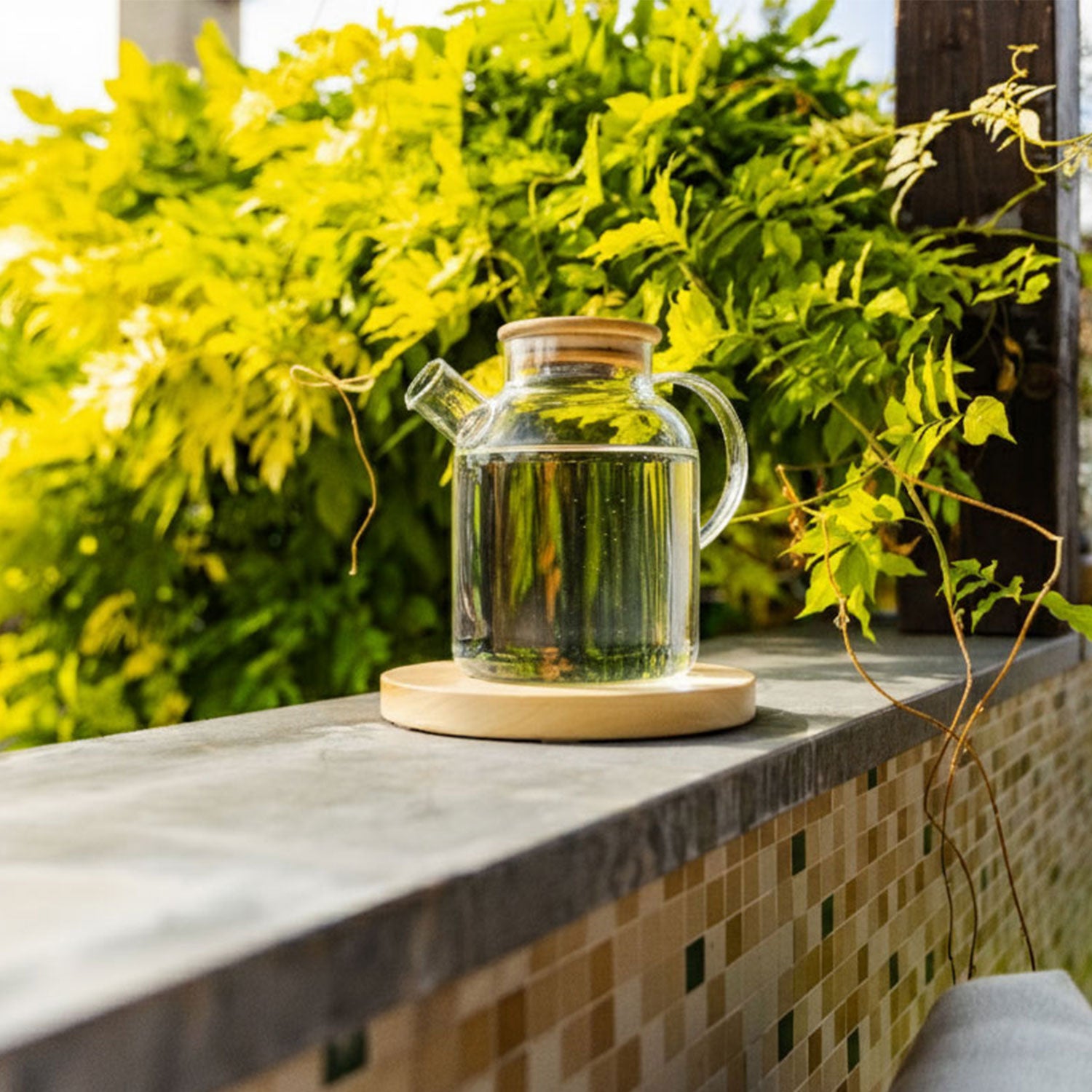 Vrč za magnetiziranje vode