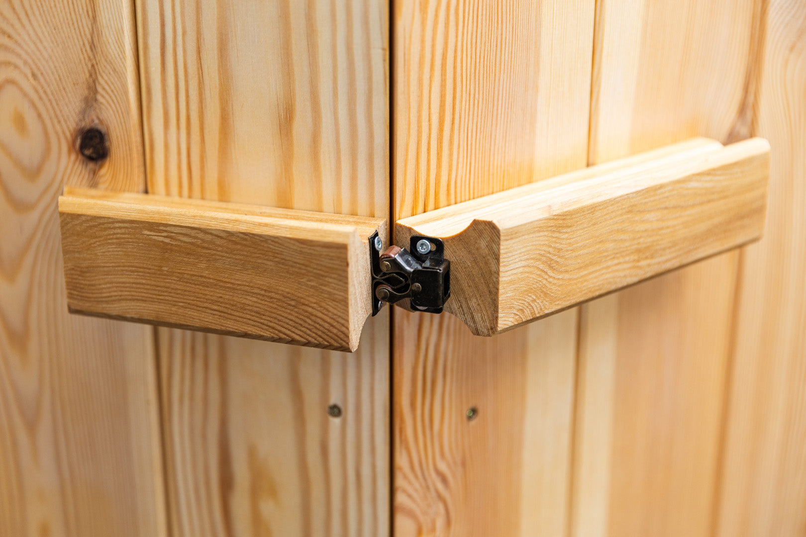 Kabina Naravnega Magnetizma