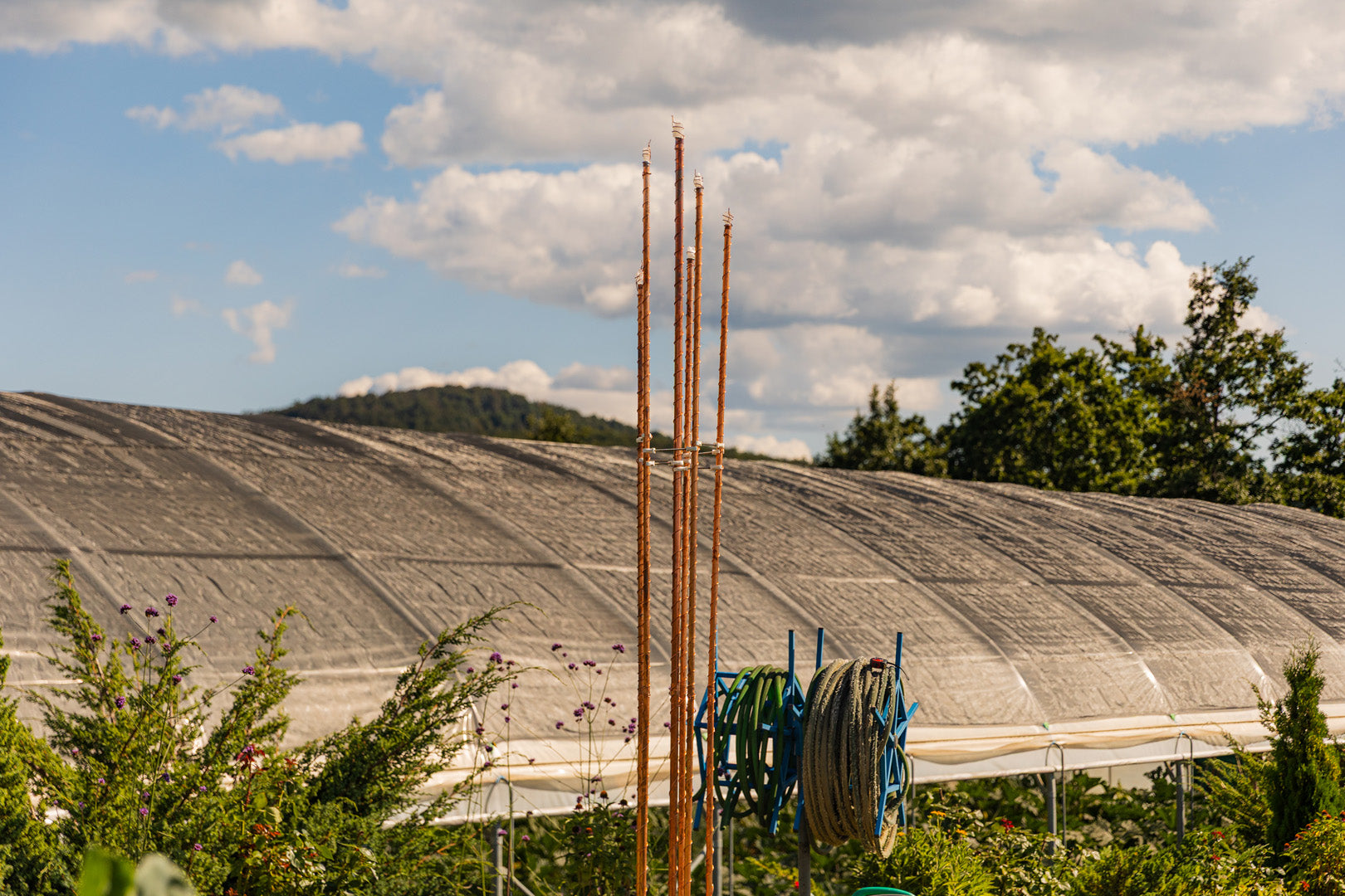 Orgonski zbiralni top eterne energije